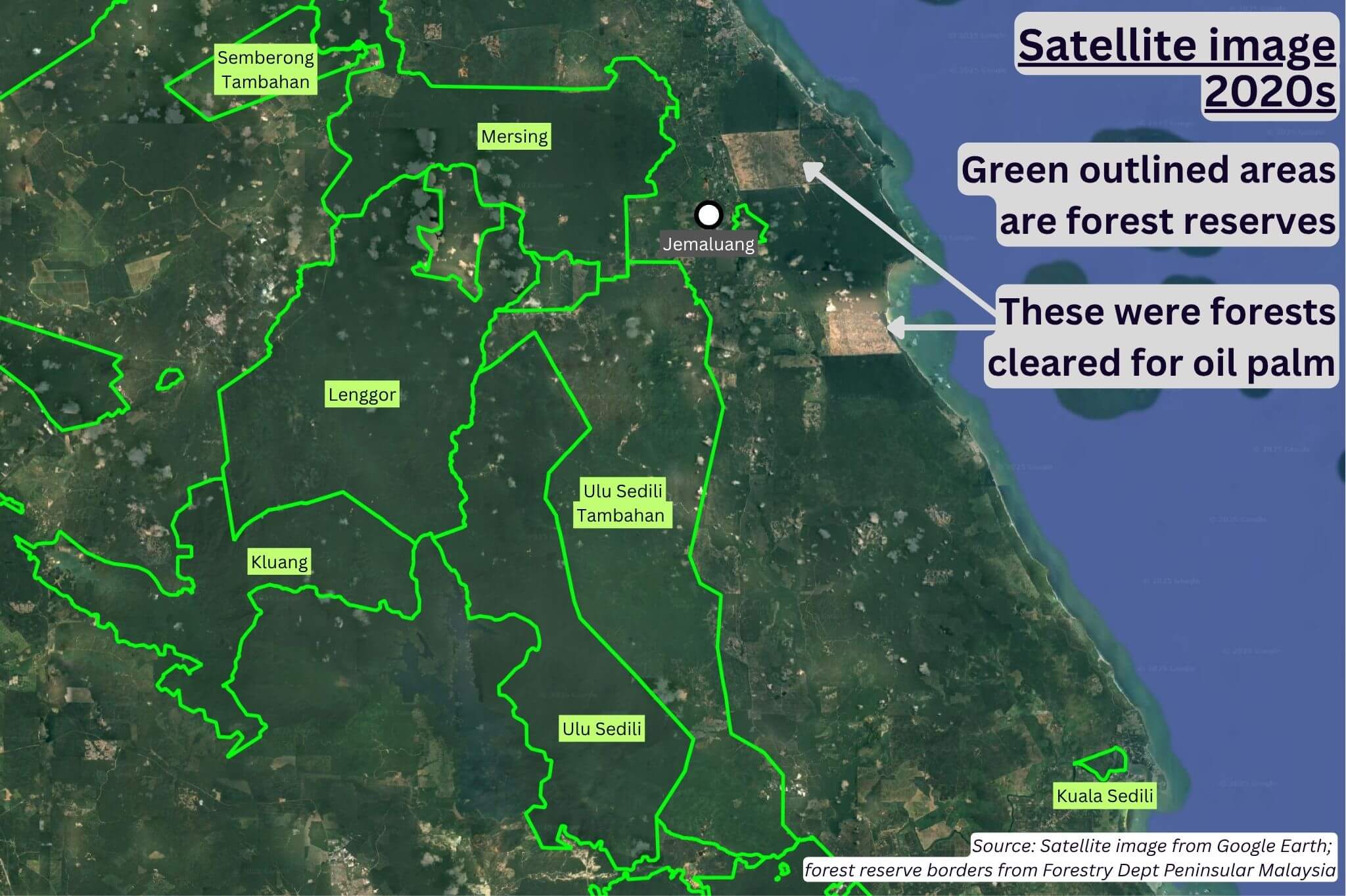 Satellite view of Jemaluang forest reserve in early 2020s showing huge patches cleared.