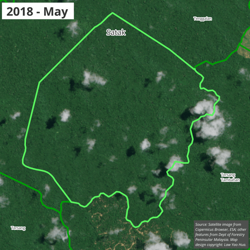 Satellite images of Satak forest reserve from 2018 to 2026 showing no tree loss